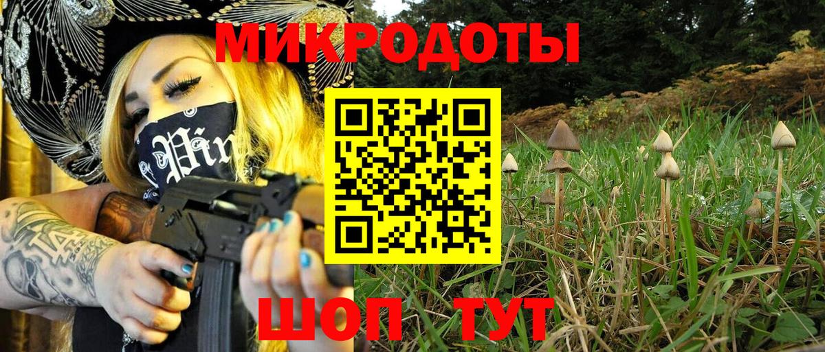 Ялуторовск  Псилоцибиновые грибы Cubensis  Галлюциногенные грибы Psilocybine cubensis  Вход с VPN 